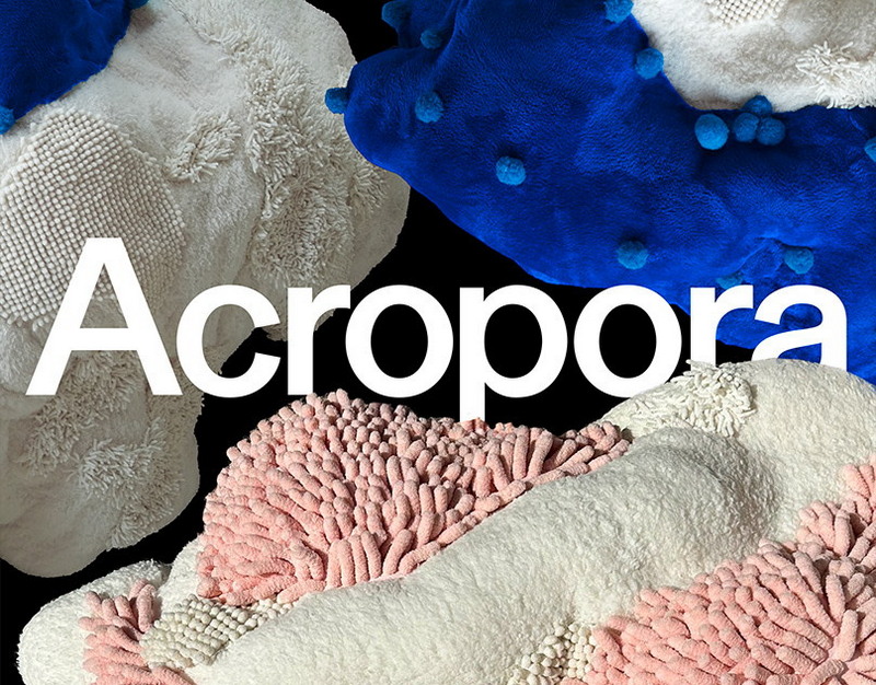 Apple может стать крупнейшим поставщиком смартфонов в мире